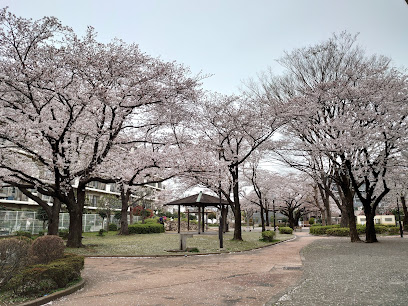 Kamakura Park