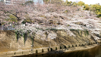 Edogawa Park