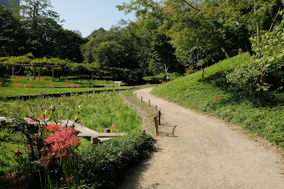 小石川後楽園 八つ橋