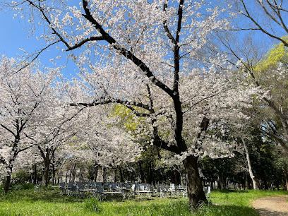 Forest of Memorial Trees