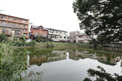 蓮光寺池