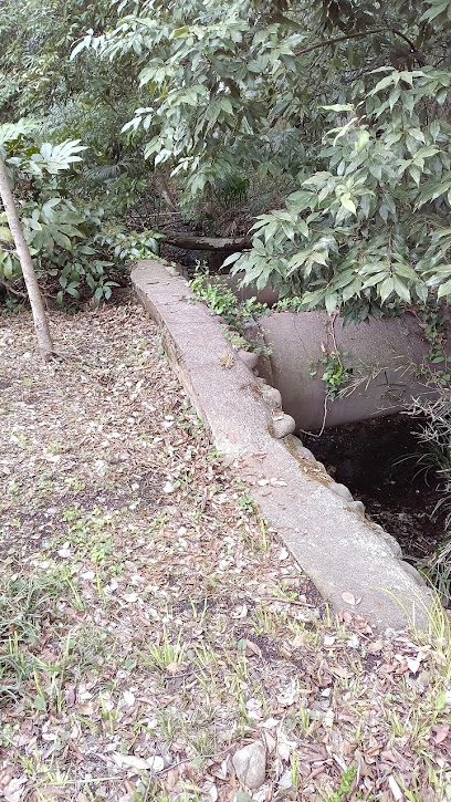 恋ヶ窪村分水跡(大池北側)