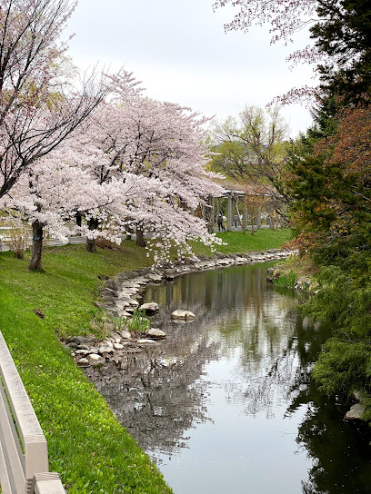 Iris Pond