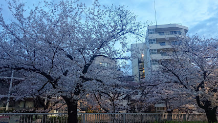 Kanda Josui Park