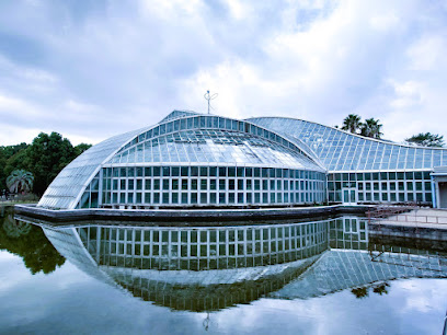 Water Lily Pond