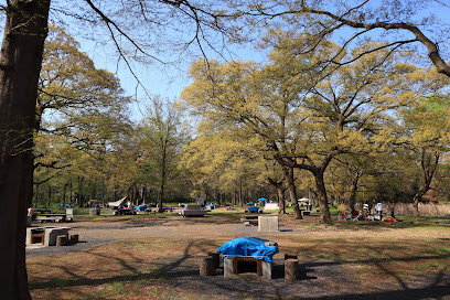 Picnic Forest
