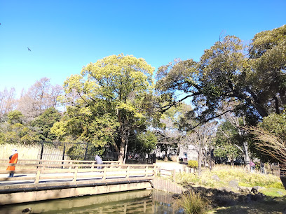 Aquatic Botanical Garden