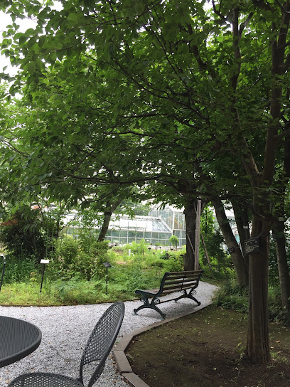 Medical Plant Garden of Hoshi University