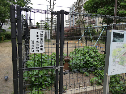 千川上水調節池跡