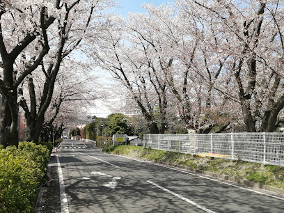 Kuji Kasumi-tei Levee