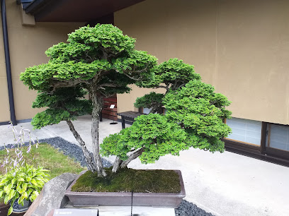 Omiya Bonsai Village