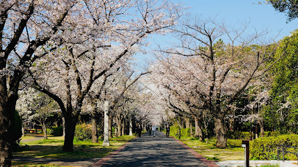 Tatsuminomori Ryokudo Park