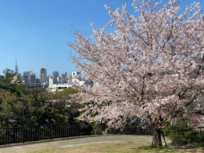 Sohara Park