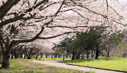 Kazo Hanasaki Water Park