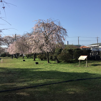 武蔵国分寺経蔵・西僧坊跡