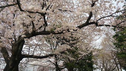 Shinnakagawa Tsusui Memorial Park