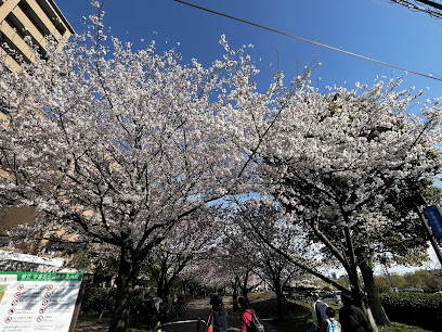 Ukita Park