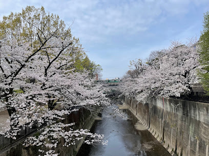 Otonashi Kunugi Green Space