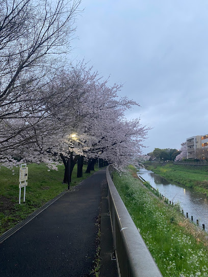 Setagaya City Nogawa Green Space Square