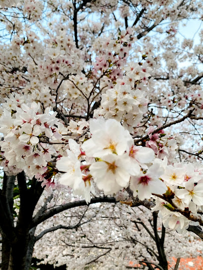 Shimohara Park