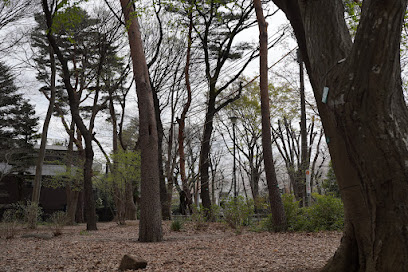 Yachonomori Park