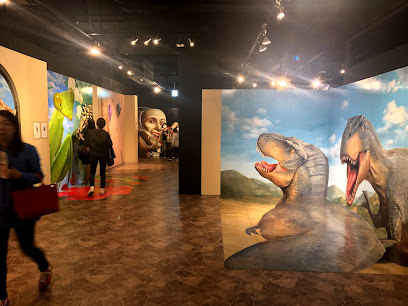 TOKYO TRICK ART MUSEUM
