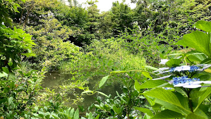 Gatharia Bio Garden Fujikura Sennen-no-mori