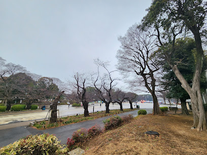 Ueno Park square