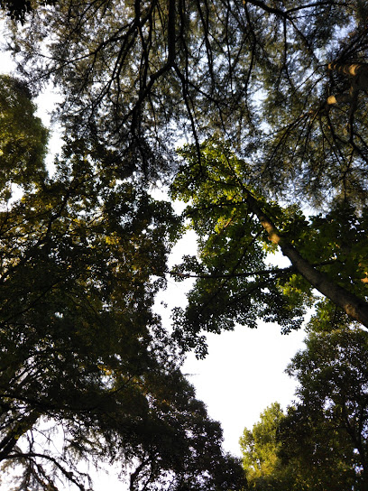 Egotanomori Park