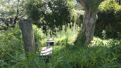 Otonashi Katsura Green Space