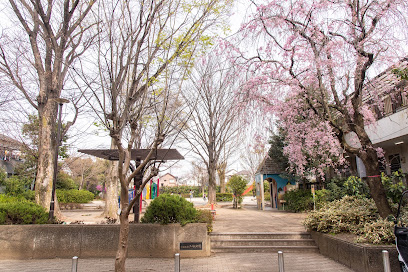 Sanya Park
