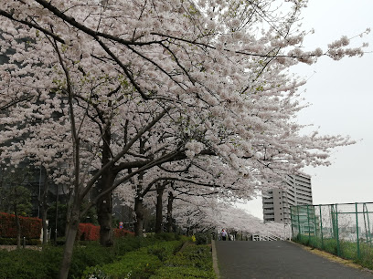 Minamisenju Rokuchome Ryokuchi Park