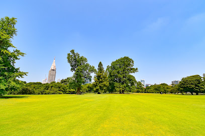 Landscape Garden