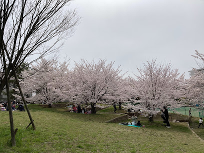 Kumanoda Park
