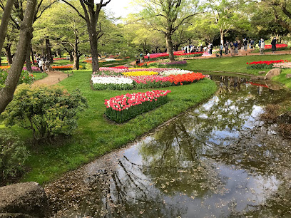 Nemophila Garden
