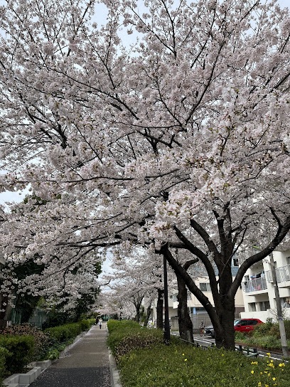 Jakuzure River Green Way