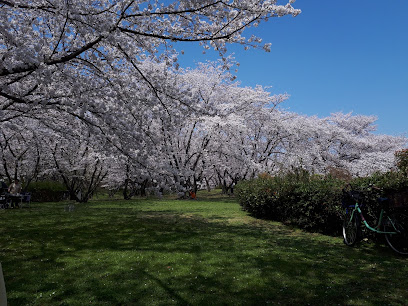 Oizumi Ryokuchi Park