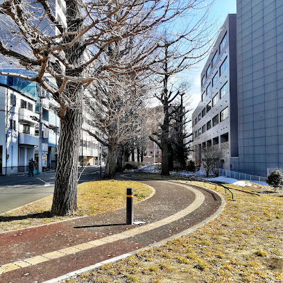 Tenjinmaetsutsujigaoka Park