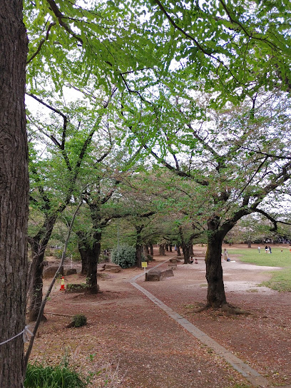 蕨市民公園芝生広場