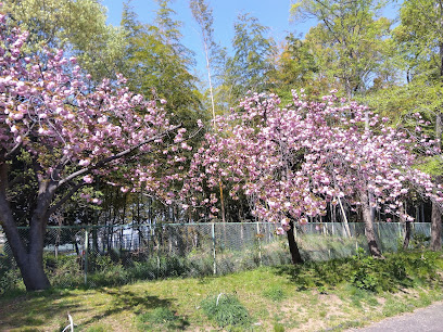 Higashiizumigaoka 1 Chomehigashi Park