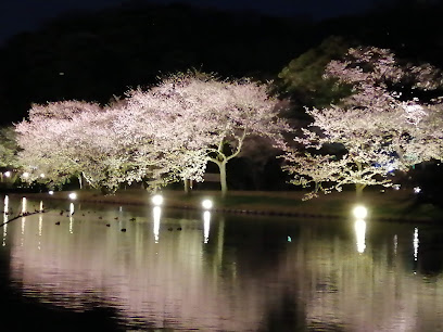Sagiyamasakura Park
