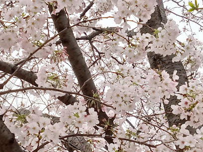 Maruyamacho Park