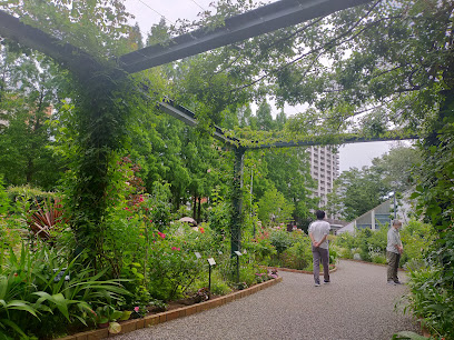 Shiki-no-kaori (scent of four seasons) Rose Garden