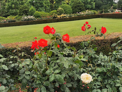 Rose Beds