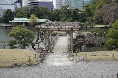 お伝い橋の藤棚