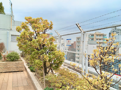 Green Terrace