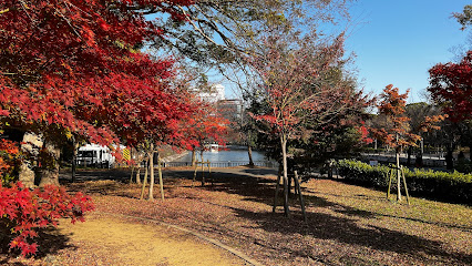 Autumn Garden