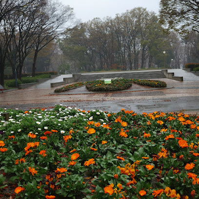 Flower Plaza Square