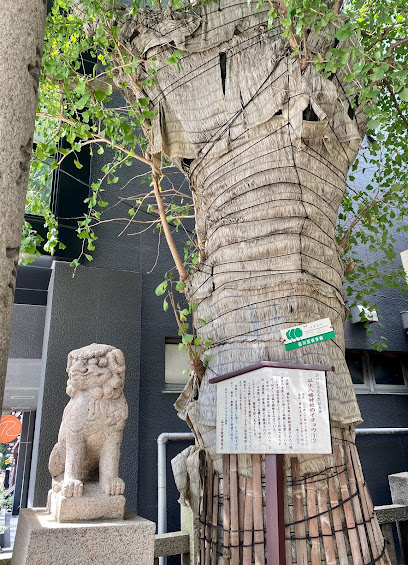 誕生八幡神社のイチョウ