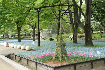 Flowerbed